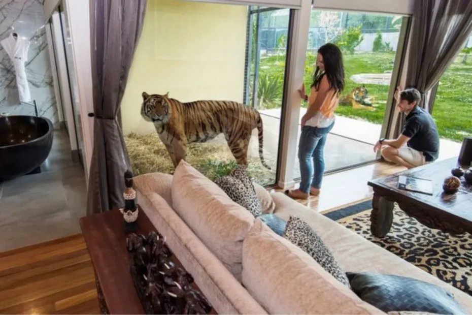 jamala wildlife lodge