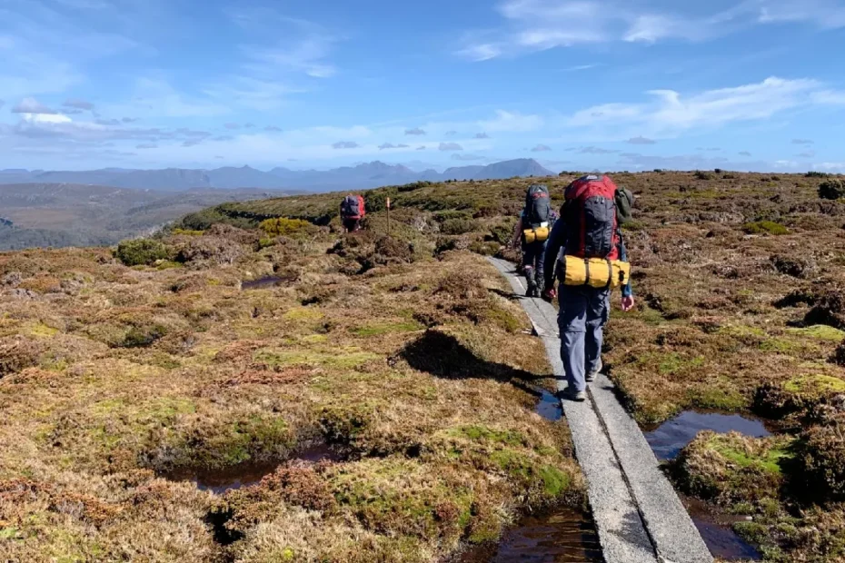 hiking the overland track
